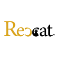 Rexcat - Digital marketing agency in kerala