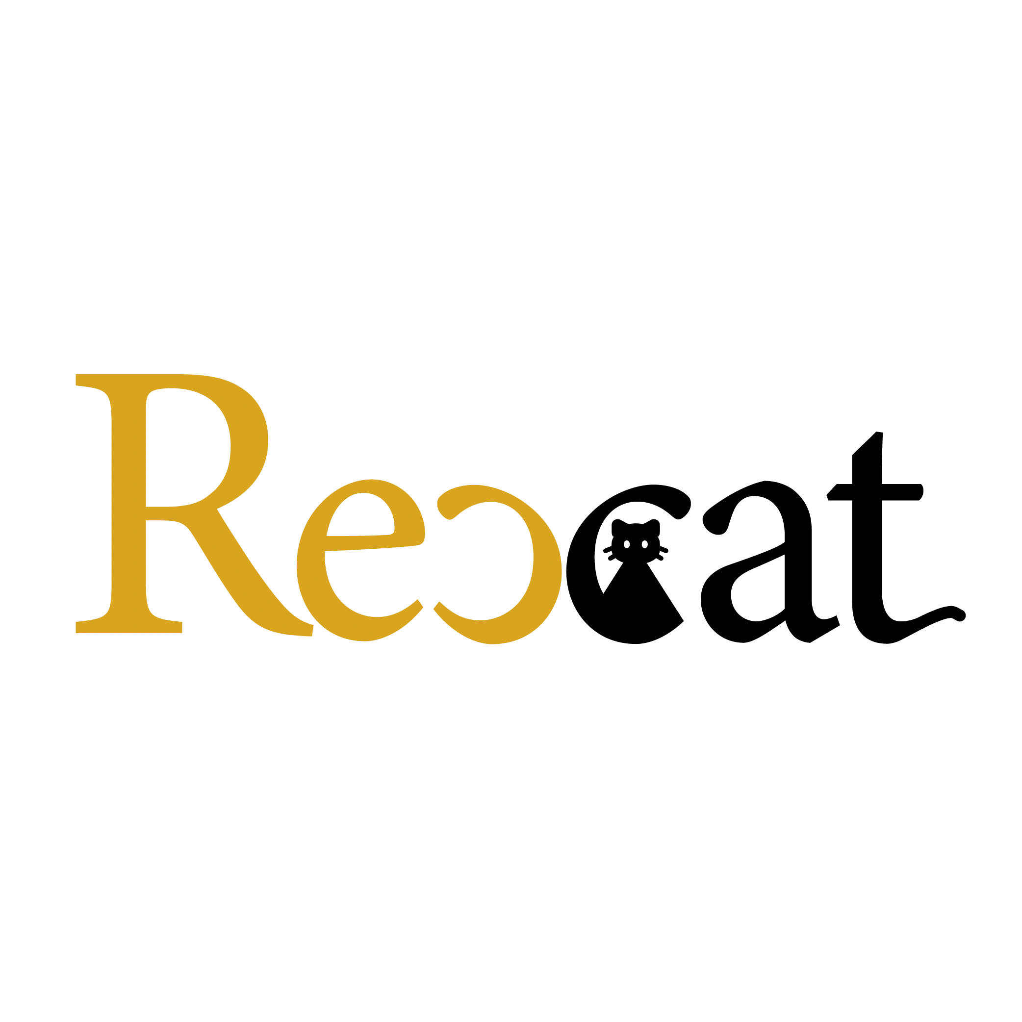 Rexcat - Digital marketing agency in kerala