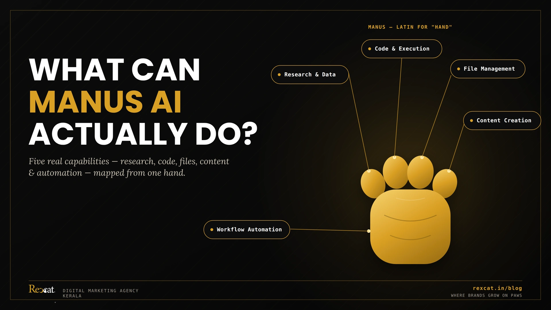 manus ai